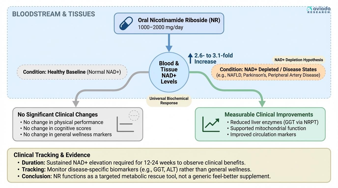 NR Reliably Raises Your NAD+ — But Whether That Translates to Any Clinical Benefit Depends Entirely on Who You Are