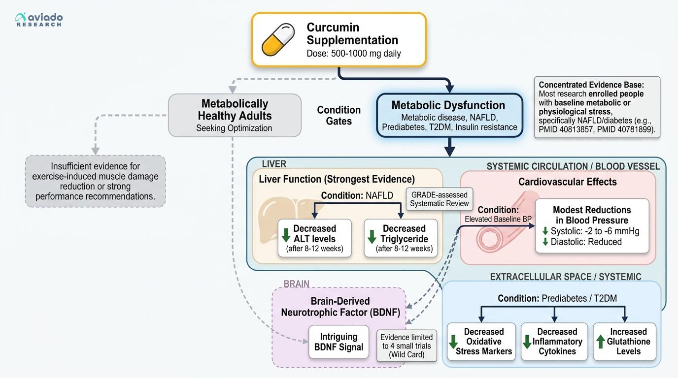 What the Curcumin Evidence Actually Measures — and Which Populations It Applies To
