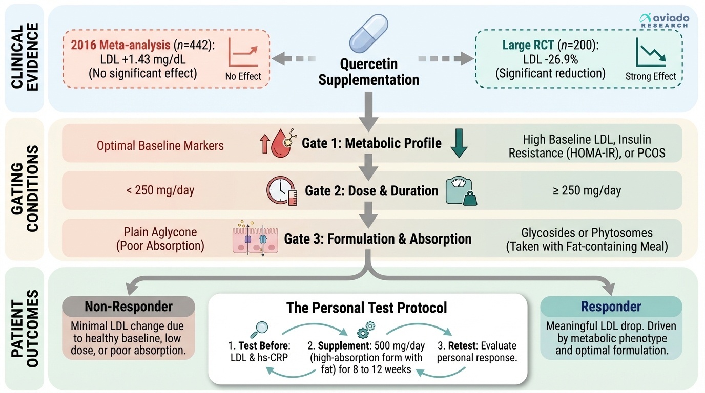 Why Quercetin's LDL Results Range From 'Nothing' to '27% Reduction' — And How to Know Which You'll Get