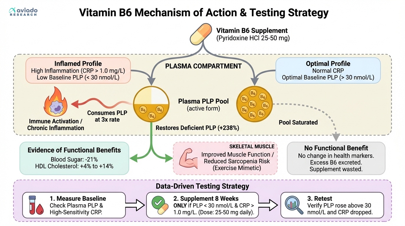 Your Inflammation Level Determines Whether Vitamin B6 Works — And Most People Never Check It