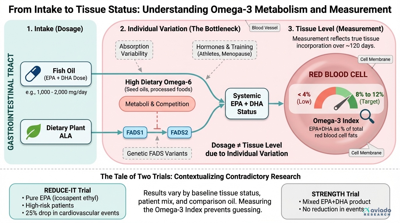 Your Omega-3 Supplement Is Probably Doing Nothing — Unless You Know Your Omega-3 Index